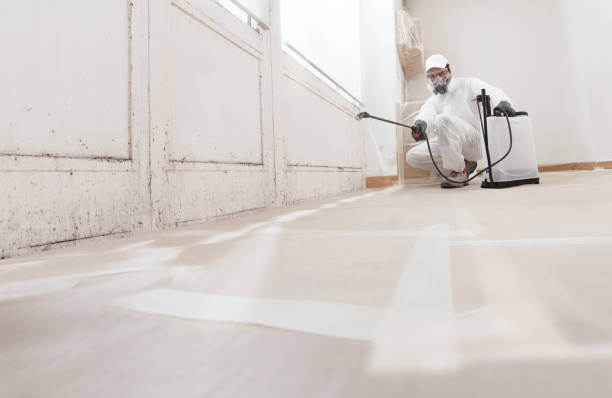 24/7 Emergency Attic Mold Remediation experts in Cockeysville, MD